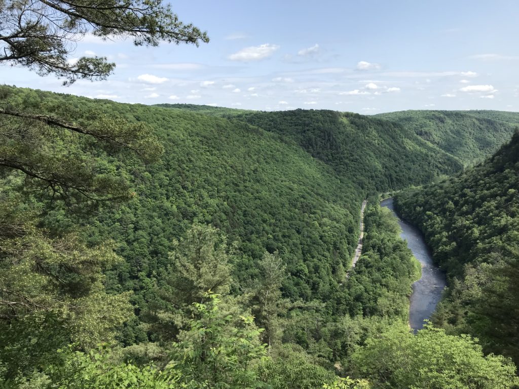 Tioga & Wellsboro, PA; a Charming Town & the Grand Canyon of ...